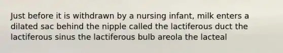 Just before it is withdrawn by a nursing infant, milk enters a dilated sac behind the nipple called the lactiferous duct the lactiferous sinus the lactiferous bulb areola the lacteal