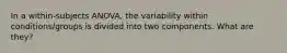 In a within-subjects ANOVA, the variability within conditions/groups is divided into two components. What are they?