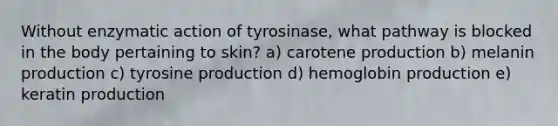 Without enzymatic action of tyrosinase, what pathway is blocked in the body pertaining to skin? a) carotene production b) melanin production c) tyrosine production d) hemoglobin production e) keratin production