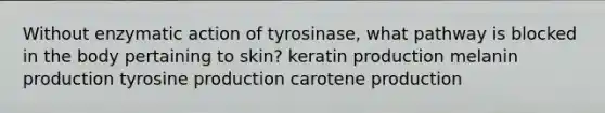 Without enzymatic action of tyrosinase, what pathway is blocked in the body pertaining to skin? keratin production melanin production tyrosine production carotene production