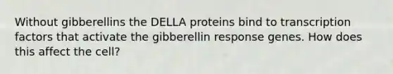 Without gibberellins the DELLA proteins bind to transcription factors that activate the gibberellin response genes. How does this affect the cell?