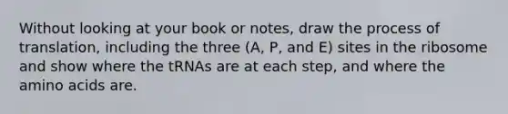 Without looking at your book or notes, draw the process of translation, including the three (A, P, and E) sites in the ribosome and show where the tRNAs are at each step, and where the amino acids are.