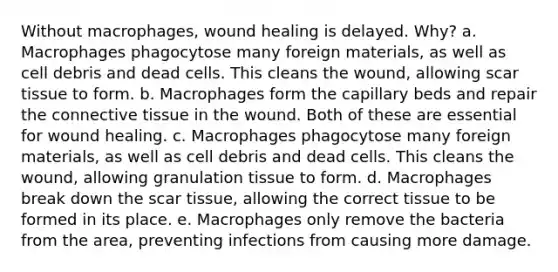 Without macrophages, wound healing is delayed. Why? a. Macrophages phagocytose many foreign materials, as well as cell debris and dead cells. This cleans the wound, allowing scar tissue to form. b. Macrophages form the capillary beds and repair the connective tissue in the wound. Both of these are essential for wound healing. c. Macrophages phagocytose many foreign materials, as well as cell debris and dead cells. This cleans the wound, allowing granulation tissue to form. d. Macrophages break down the scar tissue, allowing the correct tissue to be formed in its place. e. Macrophages only remove the bacteria from the area, preventing infections from causing more damage.