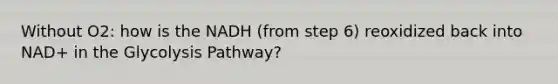 Without O2: how is the NADH (from step 6) reoxidized back into NAD+ in the Glycolysis Pathway?