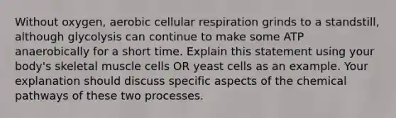 Without oxygen, aerobic cellular respiration grinds to a standstill, although glycolysis can continue to make some ATP anaerobically for a short time. Explain this statement using your body's skeletal muscle cells OR yeast cells as an example. Your explanation should discuss specific aspects of the chemical pathways of these two processes.