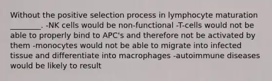 Without the positive selection process in lymphocyte maturation ________. -NK cells would be non-functional -T-cells would not be able to properly bind to APC's and therefore not be activated by them -monocytes would not be able to migrate into infected tissue and differentiate into macrophages -autoimmune diseases would be likely to result