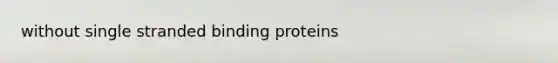 without single stranded binding proteins