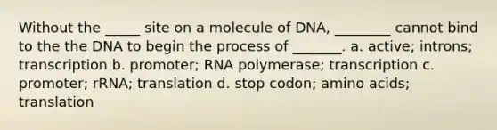 Without the _____ site on a molecule of DNA, ________ cannot bind to the the DNA to begin the process of _______. a. active; introns; transcription b. promoter; RNA polymerase; transcription c. promoter; rRNA; translation d. stop codon; amino acids; translation