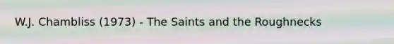 W.J. Chambliss (1973) - The Saints and the Roughnecks