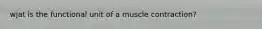 wjat is the functional unit of a muscle contraction?