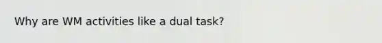 Why are WM activities like a dual task?