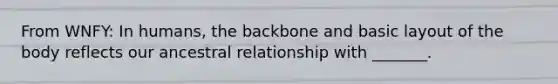 From WNFY: In humans, the backbone and basic layout of the body reflects our ancestral relationship with _______.