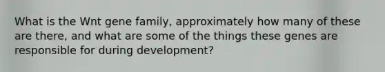 What is the Wnt gene family, approximately how many of these are there, and what are some of the things these genes are responsible for during development?