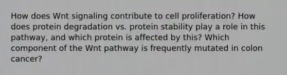 How does Wnt signaling contribute to cell proliferation? How does protein degradation vs. protein stability play a role in this pathway, and which protein is affected by this? Which component of the Wnt pathway is frequently mutated in colon cancer?