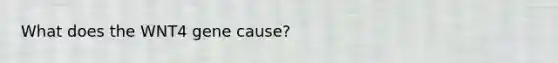 What does the WNT4 gene cause?