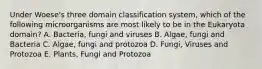 Under Woese's three domain classification system, which of the following microorganisms are most likely to be in the Eukaryota domain? A. Bacteria, fungi and viruses B. Algae, fungi and Bacteria C. Algae, fungi and protozoa D. Fungi, Viruses and Protozoa E. Plants, Fungi and Protozoa