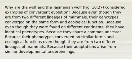 Why are the wolf and the Tasmanian wolf (Fig. 10.27) considered examples of convergent evolution? Because even though they are from two different lineages of mammals, their genotypes converged on the same form and ecological function. Because even though they were found on different continents, they have identical phenotypes. Because they share a common ancestor. Because their phenotypes converged on similar forms and ecological functions even though they are from two different lineages of mammals. Because their adaptations arise from similar developmental underpinnings.