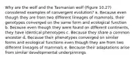 Why are the wolf and the Tasmanian wolf (Figure 10.27) considered examples of convergent evolution? a. Because even though they are from two different lineages of mammals, their genotypes converged on the same form and ecological function b. Because even though they were found on different continents, they have identical phenotypes c. Because they share a common ancestor d. Because their phenotypes converged on similar forms and ecological functions even though they are from two different lineages of mammals e. Because their adaptations arise from similar developmental underpinnings