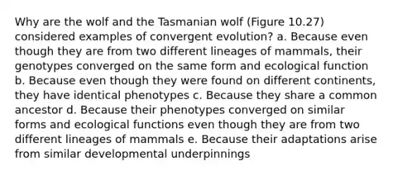 Why are the wolf and the Tasmanian wolf (Figure 10.27) considered examples of convergent evolution? a. Because even though they are from two different lineages of mammals, their genotypes converged on the same form and ecological function b. Because even though they were found on different continents, they have identical phenotypes c. Because they share a common ancestor d. Because their phenotypes converged on similar forms and ecological functions even though they are from two different lineages of mammals e. Because their adaptations arise from similar developmental underpinnings