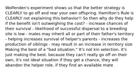 Wolfenden's experiment shows us that the better strategy is CLEARLY to go off and rear your own offspring. Hamilton's Rule is CLEARLY not explaining this behavior!! So then why do they help if the benefit isn't outweighing the cost? - increase chances of their survival - likelihood of successful dispersal to a breeding site is low - males may inherit all or part of their father's territory - helping increases survival of helper's parents - increases the production of siblings - may result in an increase in territory size Making the best of a "bad situation." It's not kin selection. it's just making the best. because they can't really go off on their own, it's not ideal situation if they get a chance, they will abandon the helper role. if they find an available mate