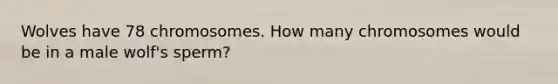 Wolves have 78 chromosomes. How many chromosomes would be in a male wolf's sperm?