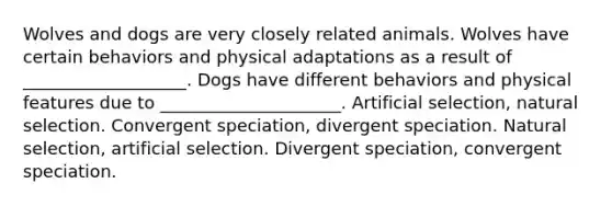 Wolves and dogs are very closely related animals. Wolves have certain behaviors and physical adaptations as a result of ___________________. Dogs have different behaviors and physical features due to _____________________. Artificial selection, natural selection. Convergent speciation, divergent speciation. Natural selection, artificial selection. Divergent speciation, convergent speciation.