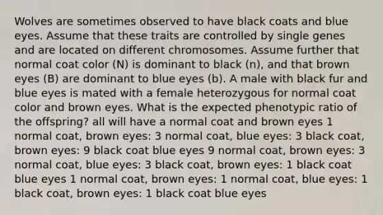 Wolves are sometimes observed to have black coats and blue eyes. Assume that these traits are controlled by single genes and are located on different chromosomes. Assume further that normal coat color (N) is dominant to black (n), and that brown eyes (B) are dominant to blue eyes (b). A male with black fur and blue eyes is mated with a female heterozygous for normal coat color and brown eyes. What is the expected phenotypic ratio of the offspring? all will have a normal coat and brown eyes 1 normal coat, brown eyes: 3 normal coat, blue eyes: 3 black coat, brown eyes: 9 black coat blue eyes 9 normal coat, brown eyes: 3 normal coat, blue eyes: 3 black coat, brown eyes: 1 black coat blue eyes 1 normal coat, brown eyes: 1 normal coat, blue eyes: 1 black coat, brown eyes: 1 black coat blue eyes