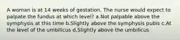 A woman is at 14 weeks of gestation. The nurse would expect to palpate the fundus at which level? a.Not palpable above the symphysis at this time b.Slightly above the symphysis pubis c.At the level of the umbilicus d.Slightly above the umbilicus