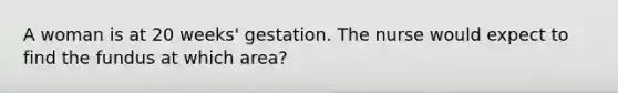 A woman is at 20 weeks' gestation. The nurse would expect to find the fundus at which area?