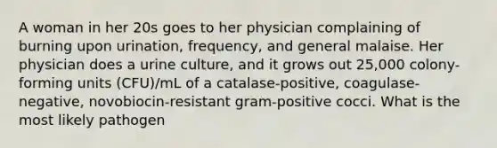 A woman in her 20s goes to her physician complaining of burning upon urination, frequency, and general malaise. Her physician does a urine culture, and it grows out 25,000 colony-forming units (CFU)/mL of a catalase-positive, coagulase-negative, novobiocin-resistant gram-positive cocci. What is the most likely pathogen