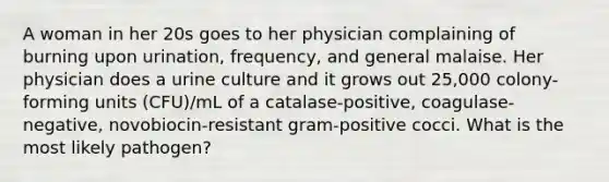 A woman in her 20s goes to her physician complaining of burning upon urination, frequency, and general malaise. Her physician does a urine culture and it grows out 25,000 colony-forming units (CFU)/mL of a catalase-positive, coagulase-negative, novobiocin-resistant gram-positive cocci. What is the most likely pathogen?