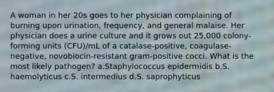 A woman in her 20s goes to her physician complaining of burning upon urination, frequency, and general malaise. Her physician does a urine culture and it grows out 25,000 colony-forming units (CFU)/mL of a catalase-positive, coagulase-negative, novobiocin-resistant gram-positive cocci. What is the most likely pathogen? a.Staphylococcus epidermidis b.S. haemolyticus c.S. intermedius d.S. saprophyticus