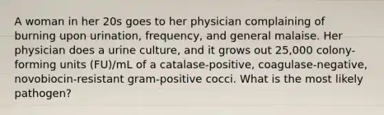 A woman in her 20s goes to her physician complaining of burning upon urination, frequency, and general malaise. Her physician does a urine culture, and it grows out 25,000 colony-forming units (FU)/mL of a catalase-positive, coagulase-negative, novobiocin-resistant gram-positive cocci. What is the most likely pathogen?