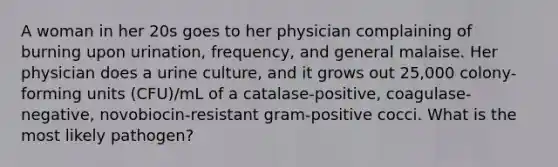 A woman in her 20s goes to her physician complaining of burning upon urination, frequency, and general malaise. Her physician does a urine culture, and it grows out 25,000 colony-forming units (CFU)/mL of a catalase-positive, coagulase-negative, novobiocin-resistant gram-positive cocci. What is the most likely pathogen?