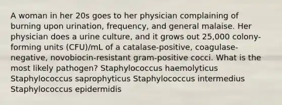 A woman in her 20s goes to her physician complaining of burning upon urination, frequency, and general malaise. Her physician does a urine culture, and it grows out 25,000 colony-forming units (CFU)/mL of a catalase-positive, coagulase-negative, novobiocin-resistant gram-positive cocci. What is the most likely pathogen? Staphylococcus haemolyticus Staphylococcus saprophyticus Staphylococcus intermedius Staphylococcus epidermidis