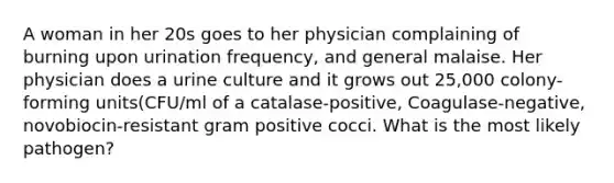 A woman in her 20s goes to her physician complaining of burning upon urination frequency, and general malaise. Her physician does a urine culture and it grows out 25,000 colony-forming units(CFU/ml of a catalase-positive, Coagulase-negative, novobiocin-resistant gram positive cocci. What is the most likely pathogen?