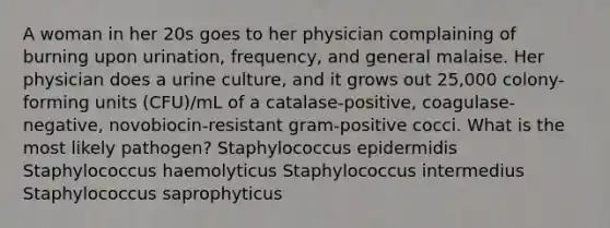 A woman in her 20s goes to her physician complaining of burning upon urination, frequency, and general malaise. Her physician does a urine culture, and it grows out 25,000 colony-forming units (CFU)/mL of a catalase-positive, coagulase-negative, novobiocin-resistant gram-positive cocci. What is the most likely pathogen? Staphylococcus epidermidis Staphylococcus haemolyticus Staphylococcus intermedius Staphylococcus saprophyticus