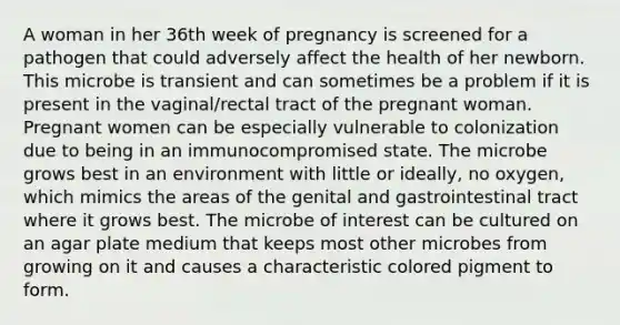 A woman in her 36th week of pregnancy is screened for a pathogen that could adversely affect the health of her newborn. This microbe is transient and can sometimes be a problem if it is present in the vaginal/rectal tract of the pregnant woman. Pregnant women can be especially vulnerable to colonization due to being in an immunocompromised state. The microbe grows best in an environment with little or ideally, no oxygen, which mimics the areas of the genital and gastrointestinal tract where it grows best. The microbe of interest can be cultured on an agar plate medium that keeps most other microbes from growing on it and causes a characteristic colored pigment to form.