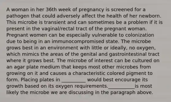 A woman in her 36th week of pregnancy is screened for a pathogen that could adversely affect the health of her newborn. This microbe is transient and can sometimes be a problem if it is present in the vaginal/rectal tract of the pregnant woman. Pregnant women can be especially vulnerable to colonization due to being in an immunocompromised state. The microbe grows best in an environment with little or ideally, no oxygen, which mimics the areas of the genital and gastrointestinal tract where it grows best. The microbe of interest can be cultured on an agar plate medium that keeps most other microbes from growing on it and causes a characteristic colored pigment to form. Placing plates in __________ would best encourage its growth based on its oxygen requirements.___________is most likely the microbe we are discussing in the paragraph above.