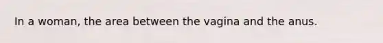 In a woman, the area between the vagina and the anus.