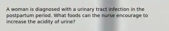 A woman is diagnosed with a urinary tract infection in the postpartum period. What foods can the nurse encourage to increase the acidity of urine?