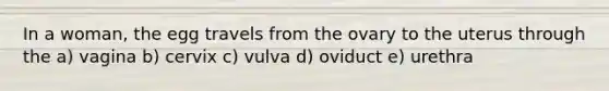 In a woman, the egg travels from the ovary to the uterus through the a) vagina b) cervix c) vulva d) oviduct e) urethra