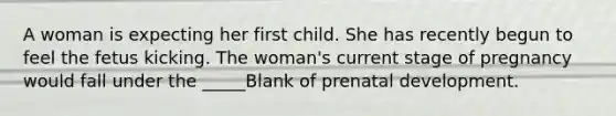 A woman is expecting her first child. She has recently begun to feel the fetus kicking. The woman's current stage of pregnancy would fall under the _____Blank of prenatal development.