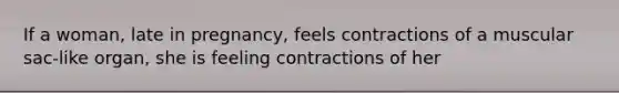 If a woman, late in pregnancy, feels contractions of a muscular sac-like organ, she is feeling contractions of her