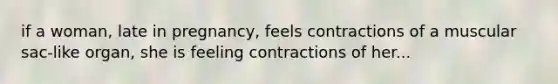 if a woman, late in pregnancy, feels contractions of a muscular sac-like organ, she is feeling contractions of her...