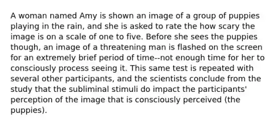 A woman named Amy is shown an image of a group of puppies playing in the rain, and she is asked to rate the how scary the image is on a scale of one to five. Before she sees the puppies though, an image of a threatening man is flashed on the screen for an extremely brief period of time--not enough time for her to consciously process seeing it. This same test is repeated with several other participants, and the scientists conclude from the study that the subliminal stimuli do impact the participants' perception of the image that is consciously perceived (the puppies).