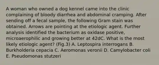 A woman who owned a dog kennel came into the clinic complaining of bloody diarrhea and abdominal cramping. After sending off a fecal sample, the following Gram stain was obtained. Arrows are pointing at the etiologic agent. Further analysis identified the bacterium as oxidase positive, microaerophilic and growing better at 42dC. What is the most likely etiologic agent? (Fig.3) A. Leptospira interrogans B. Burkholderia cepacia C. Aeromonas veronii D. Camylobacter coli E. Pseudomonas stutzeri