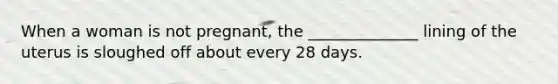 When a woman is not pregnant, the ______________ lining of the uterus is sloughed off about every 28 days.