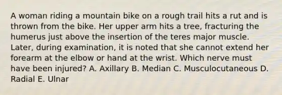 A woman riding a mountain bike on a rough trail hits a rut and is thrown from the bike. Her upper arm hits a tree, fracturing the humerus just above the insertion of the teres major muscle. Later, during examination, it is noted that she cannot extend her forearm at the elbow or hand at the wrist. Which nerve must have been injured? A. Axillary B. Median C. Musculocutaneous D. Radial E. Ulnar