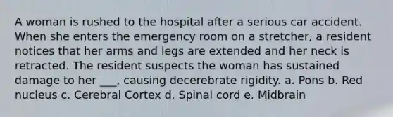 A woman is rushed to the hospital after a serious car accident. When she enters the emergency room on a stretcher, a resident notices that her arms and legs are extended and her neck is retracted. The resident suspects the woman has sustained damage to her ___, causing decerebrate rigidity. a. Pons b. Red nucleus c. Cerebral Cortex d. Spinal cord e. Midbrain